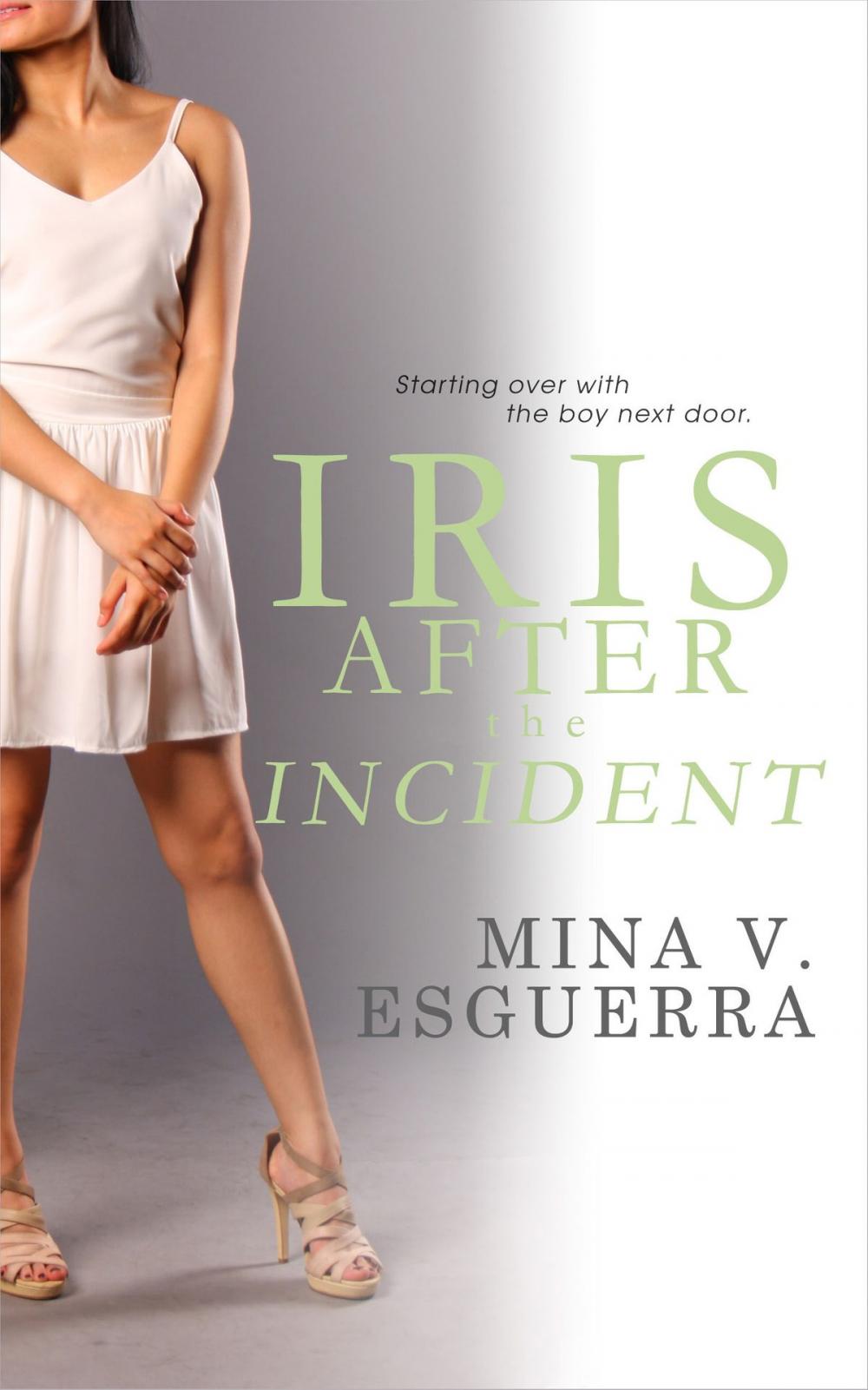 Big bigCover of Iris After the Incident
