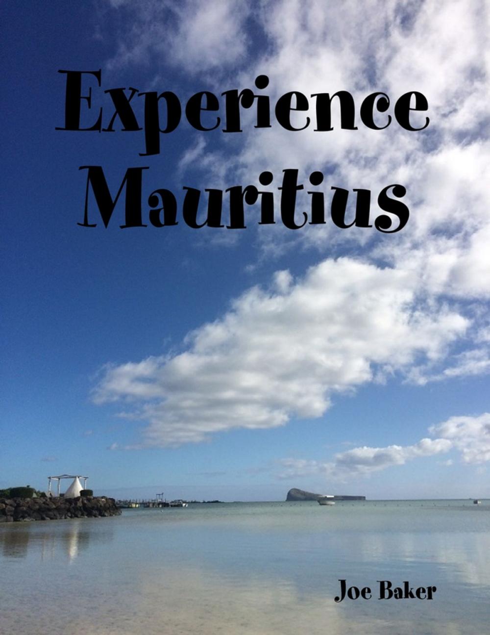 Big bigCover of Experience Mauritius