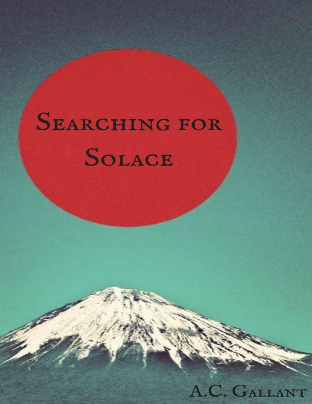 Big bigCover of Searching for Solace