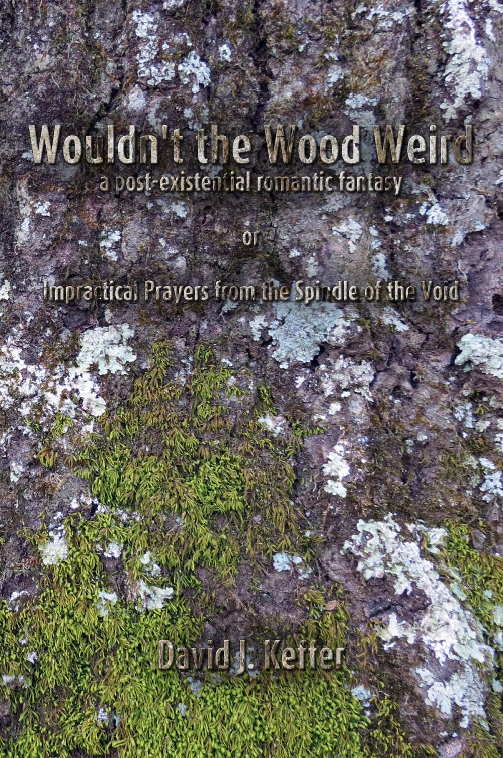 Big bigCover of Wouldn't the Wood Weird