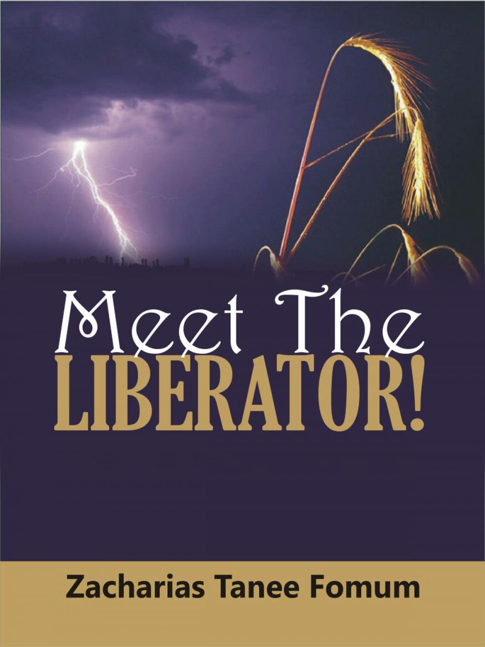 Big bigCover of Meet The Liberator!