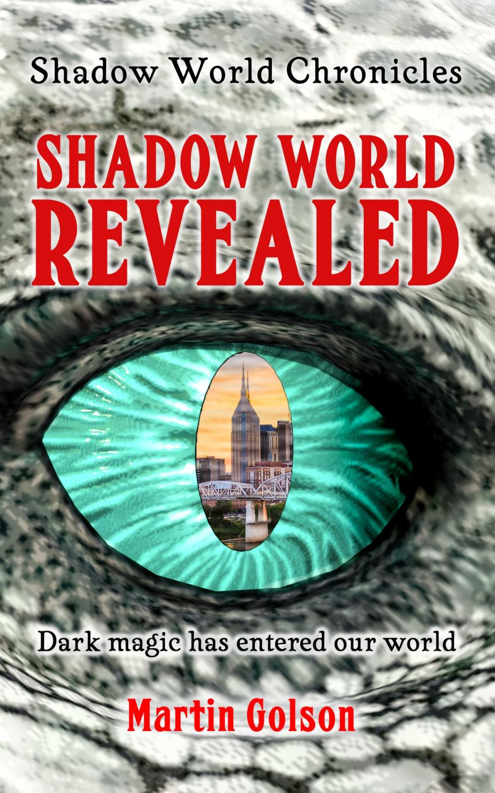 Big bigCover of Shadow World Revealed (Shadow World Chronicles Book 1)