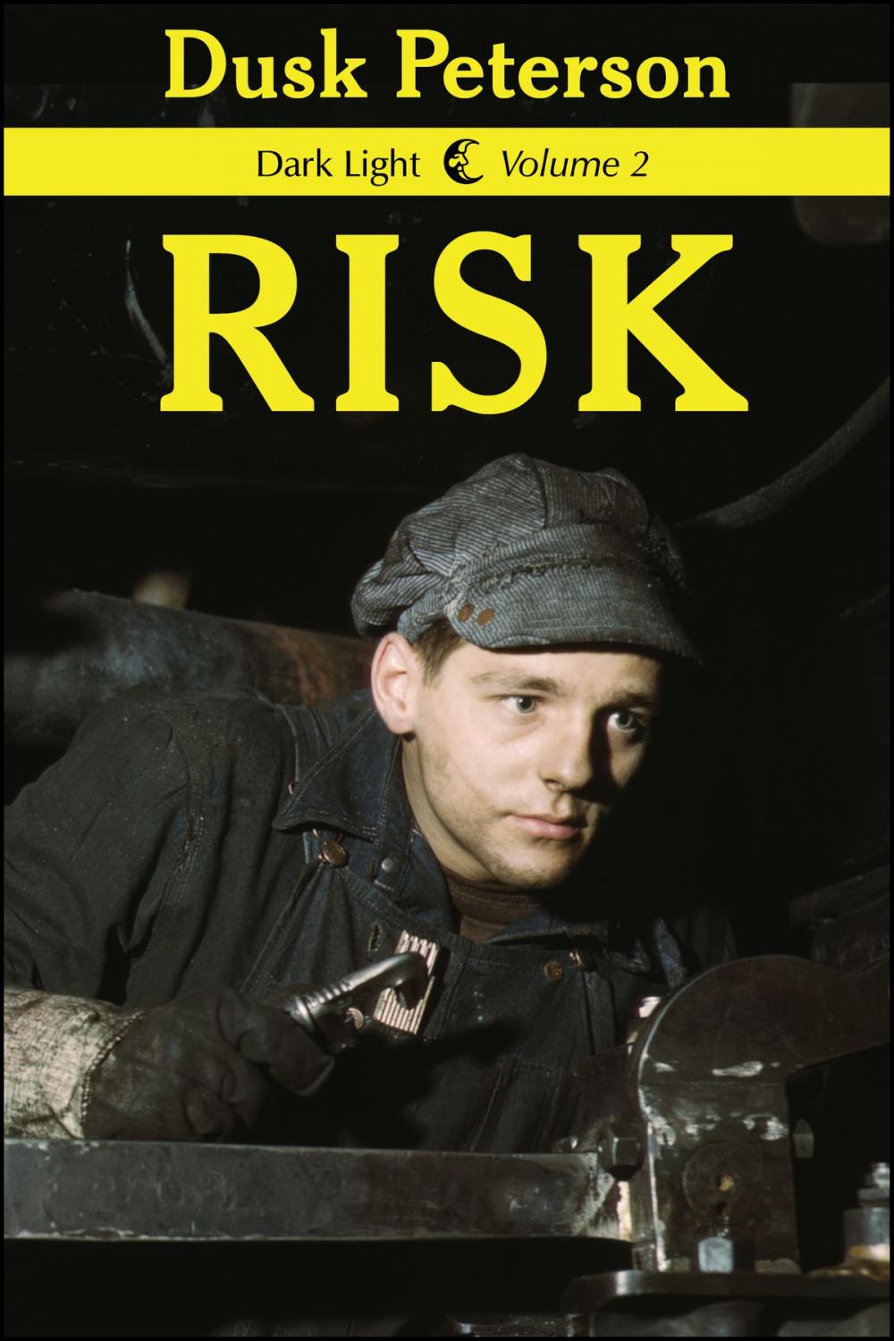 Big bigCover of Risk (Dark Light, Volume 2)