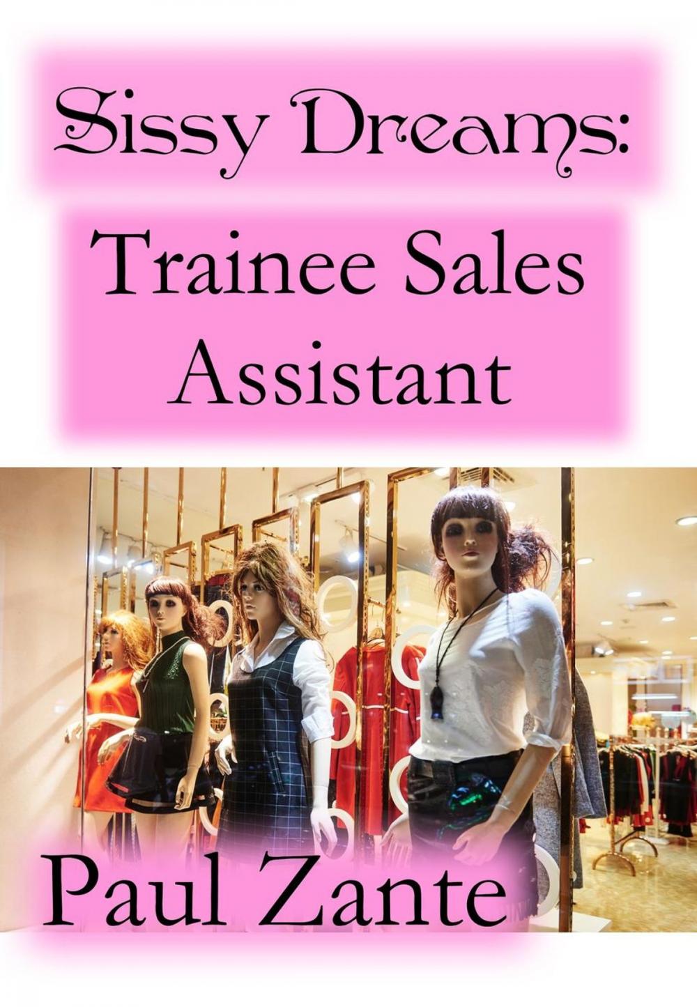 Big bigCover of Sissy Dreams: Trainee Sales Assistant