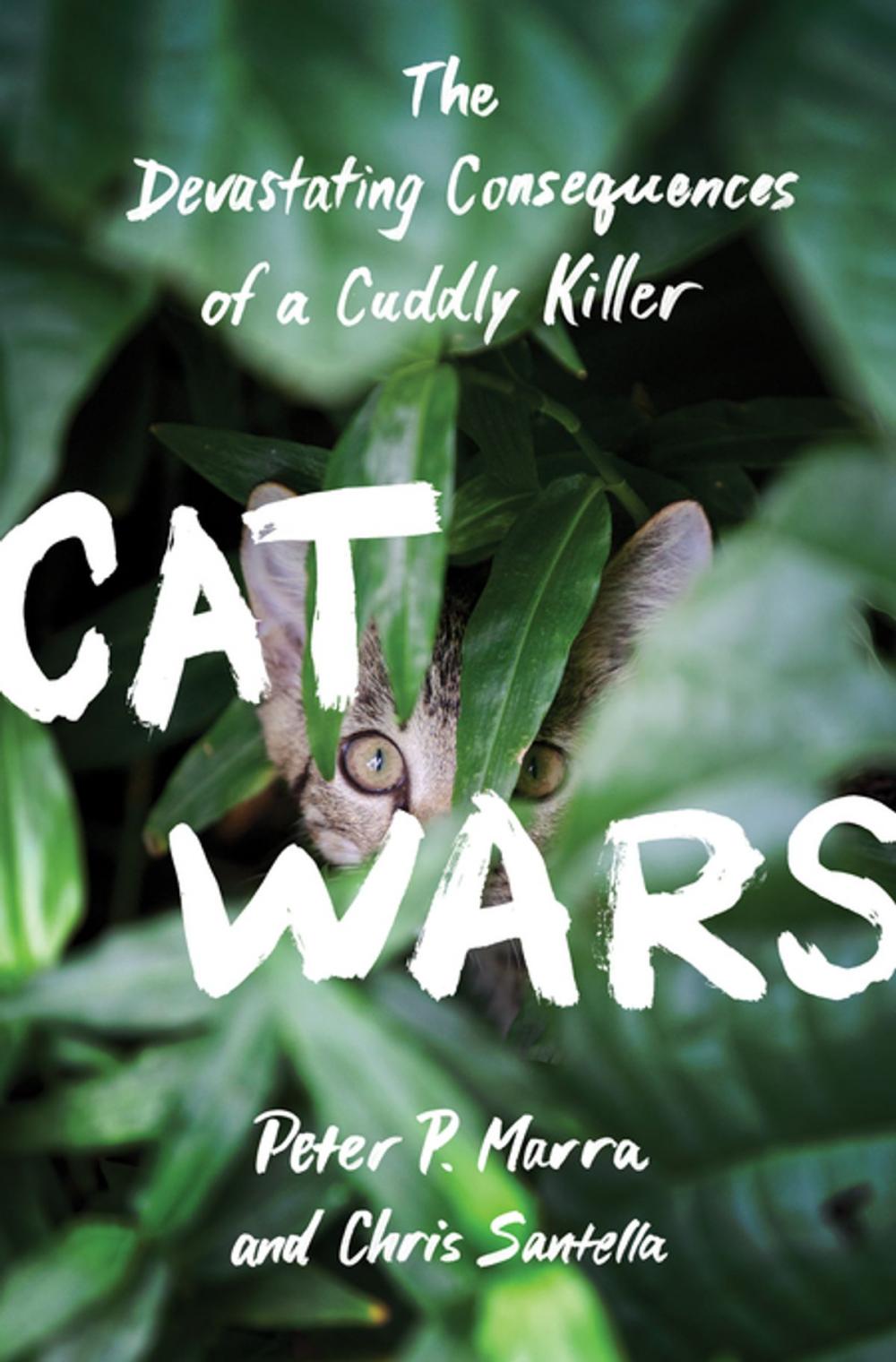 Big bigCover of Cat Wars