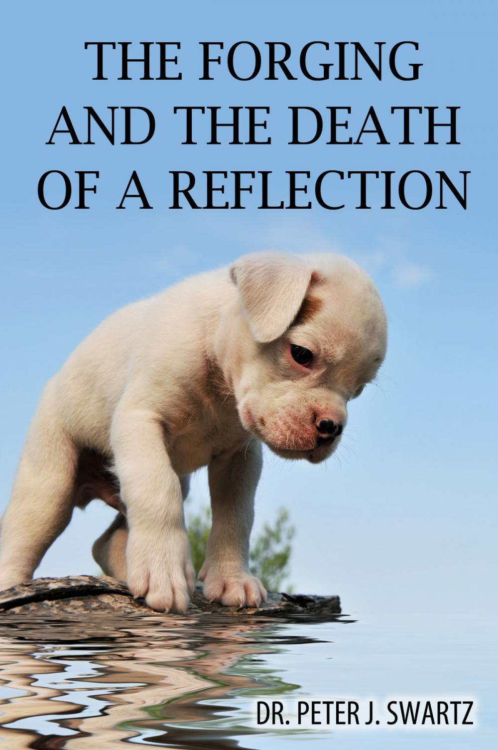 Big bigCover of The Forging and the Death of a Reflection