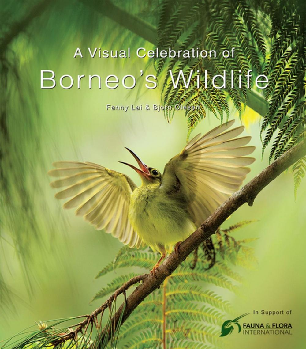 Big bigCover of Visual Celebration of Borneo's Wildlife