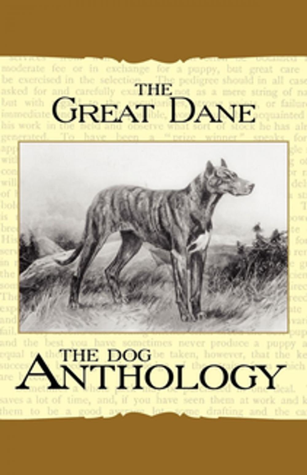 Big bigCover of The Great Dane - A Dog Anthology (A Vintage Dog Books Breed Classic)