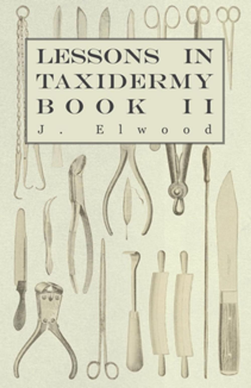 Big bigCover of Lessons in Taxidermy - A Comprehensive Treatise on Collecting and Preserving all Subjects of Natural History - Book II.