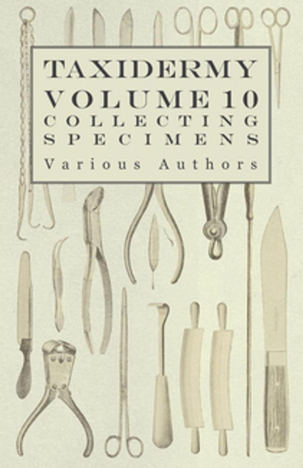 Big bigCover of Taxidermy Vol. 10 Collecting Specimens - The Collection and Displaying Taxidermy Specimens