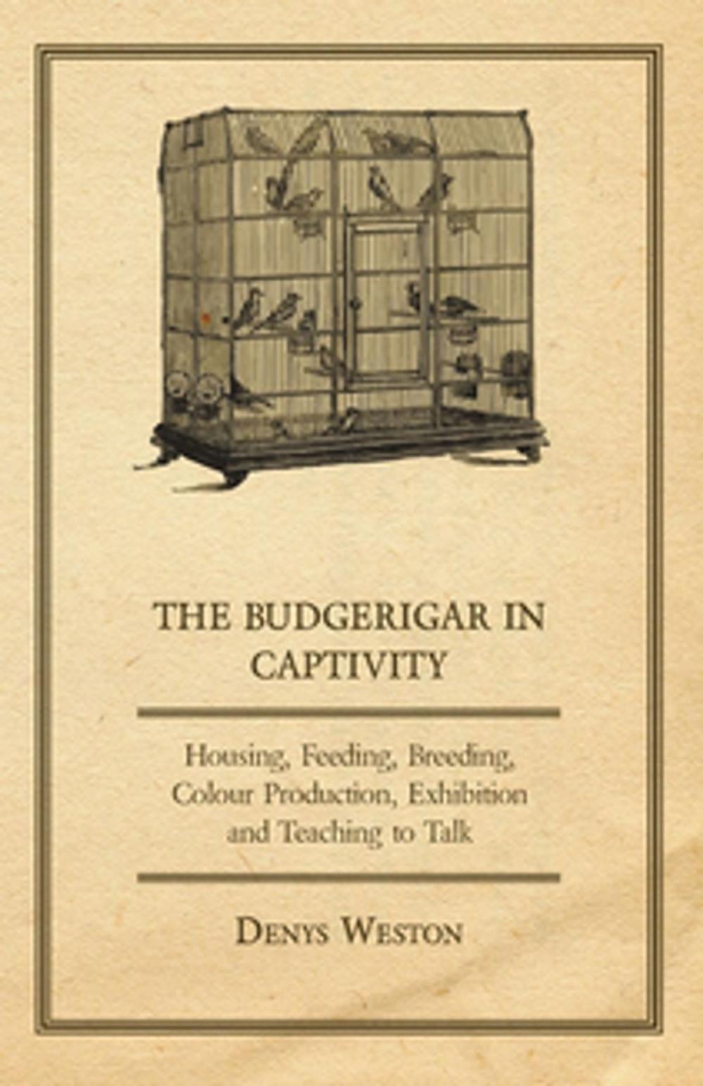 Big bigCover of The Budgerigar in Captivity - Housing, Feeding, Breeding, Colour Production, Exhibition and Teaching to Talk