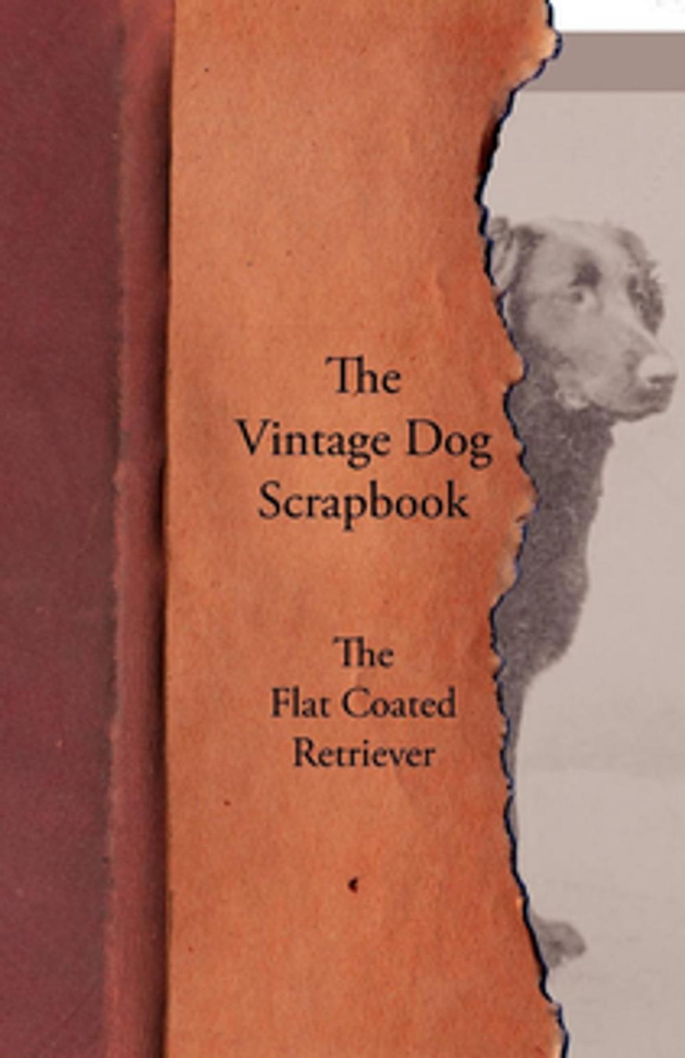 Big bigCover of The Vintage Dog Scrapbook - The Flat Coated Retriever