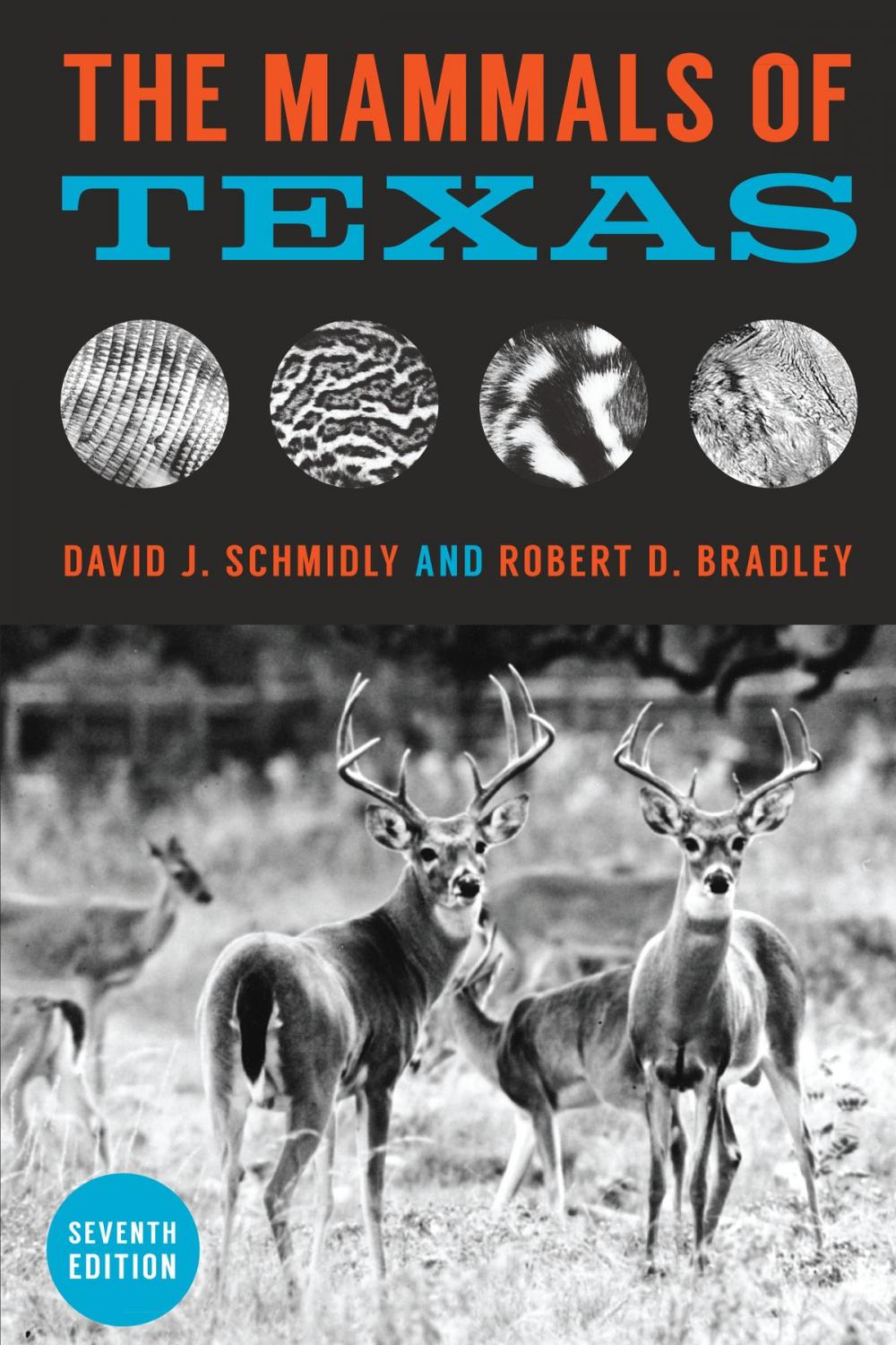 Big bigCover of The Mammals of Texas