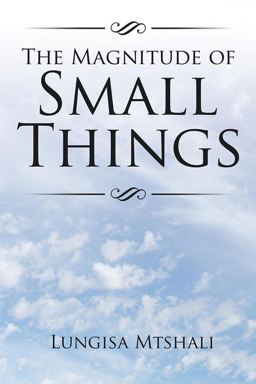 Big bigCover of The Magnitude of Small Things
