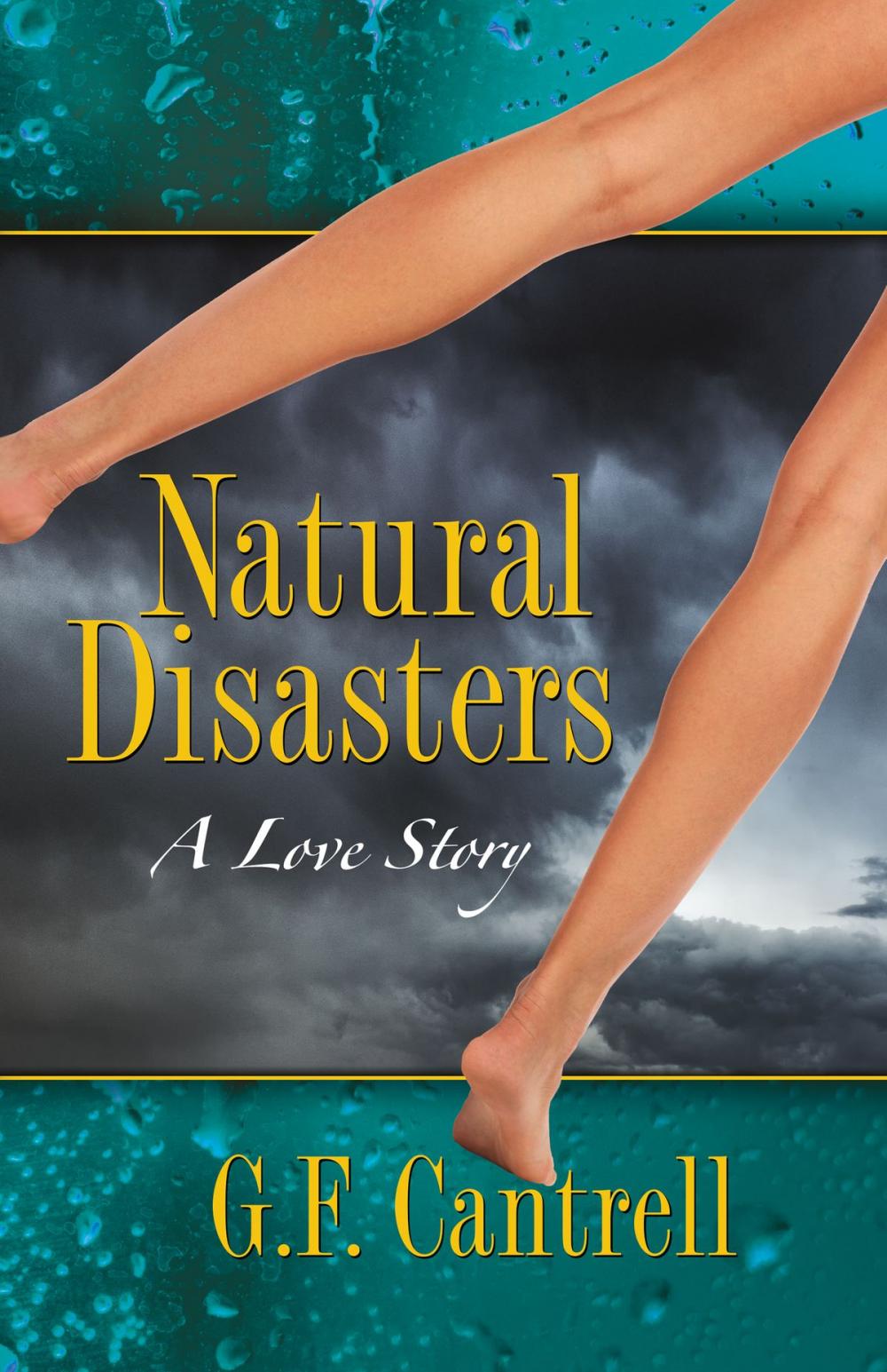 Big bigCover of Natural Disasters