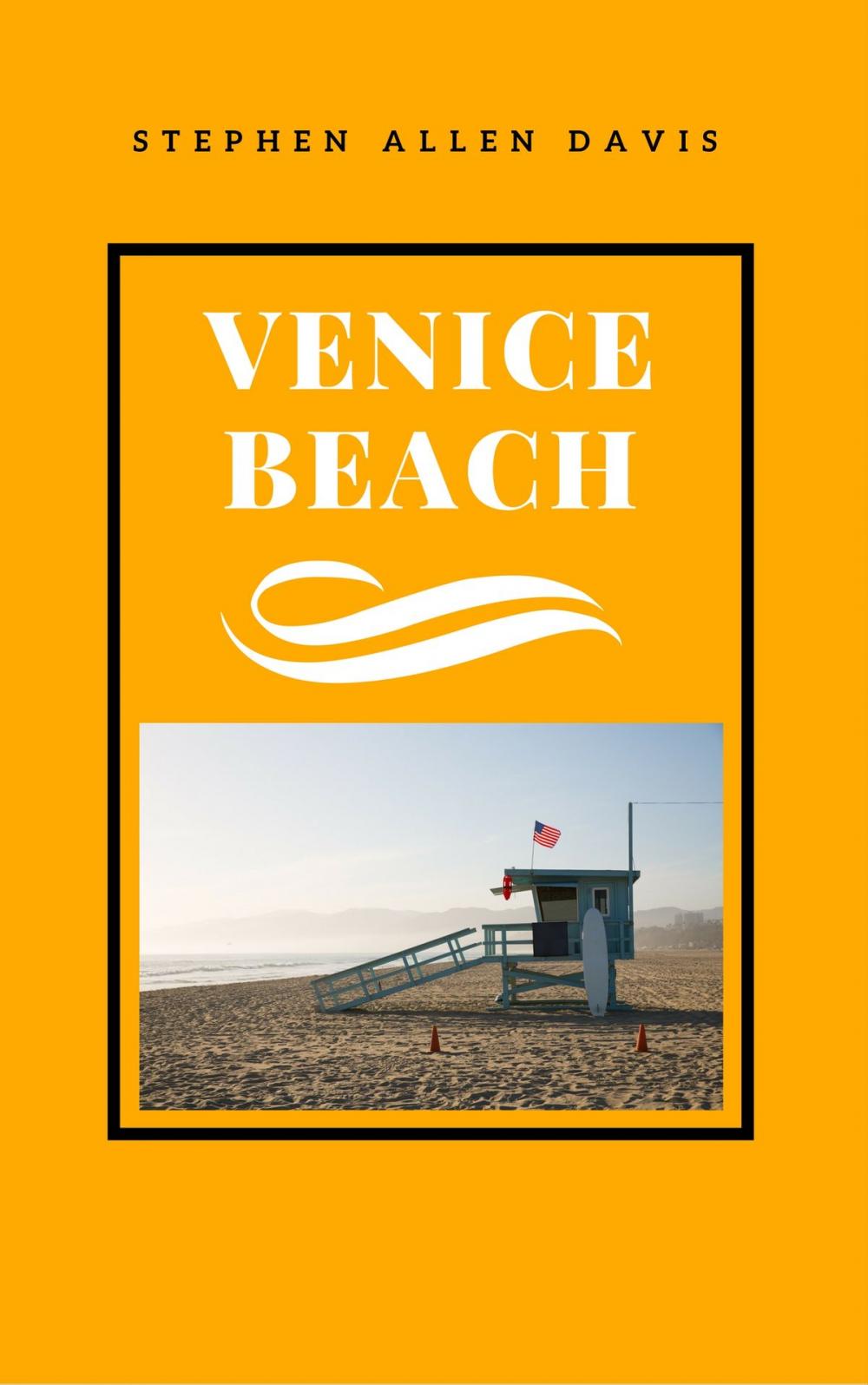 Big bigCover of Venice Beach