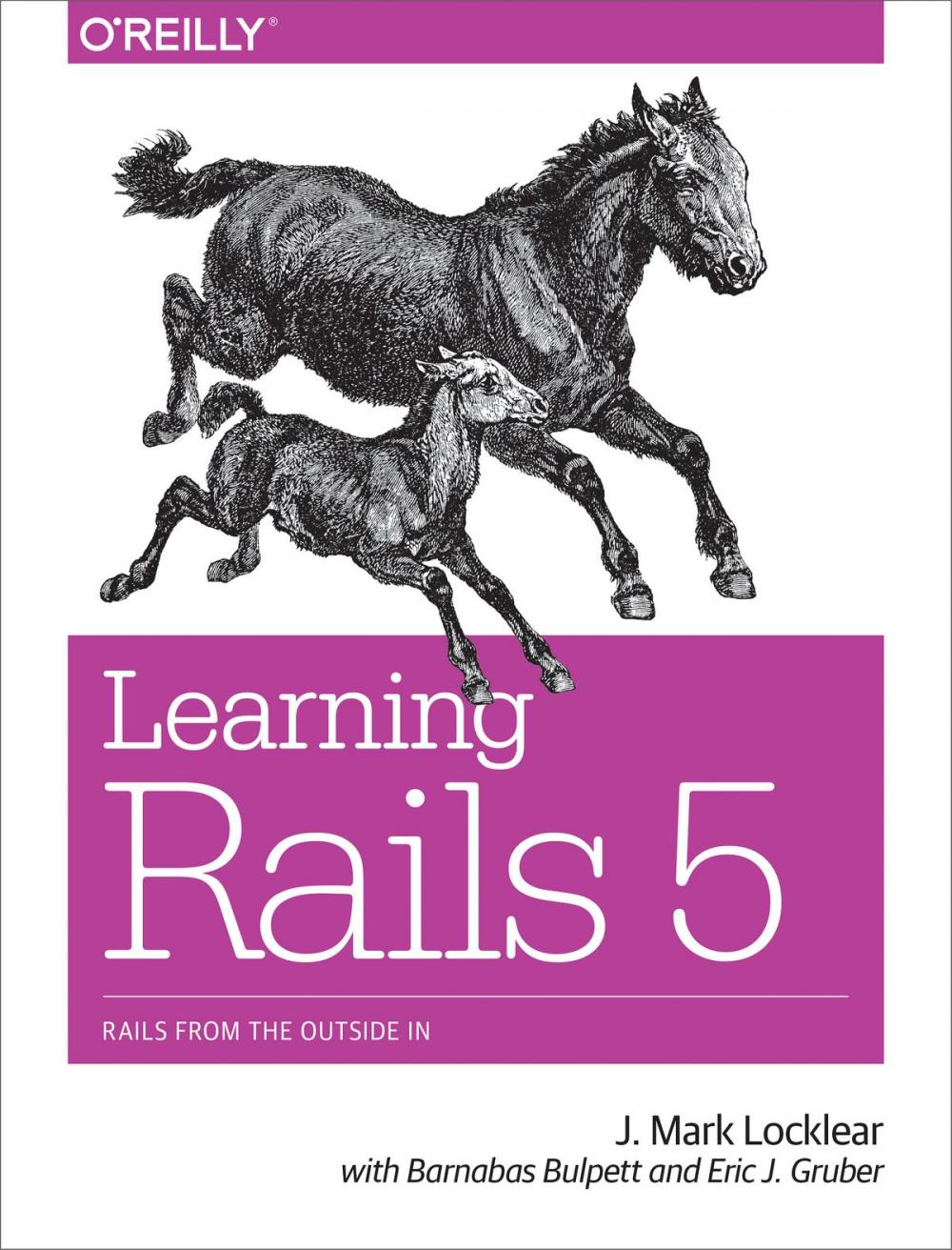 Big bigCover of Learning Rails 5