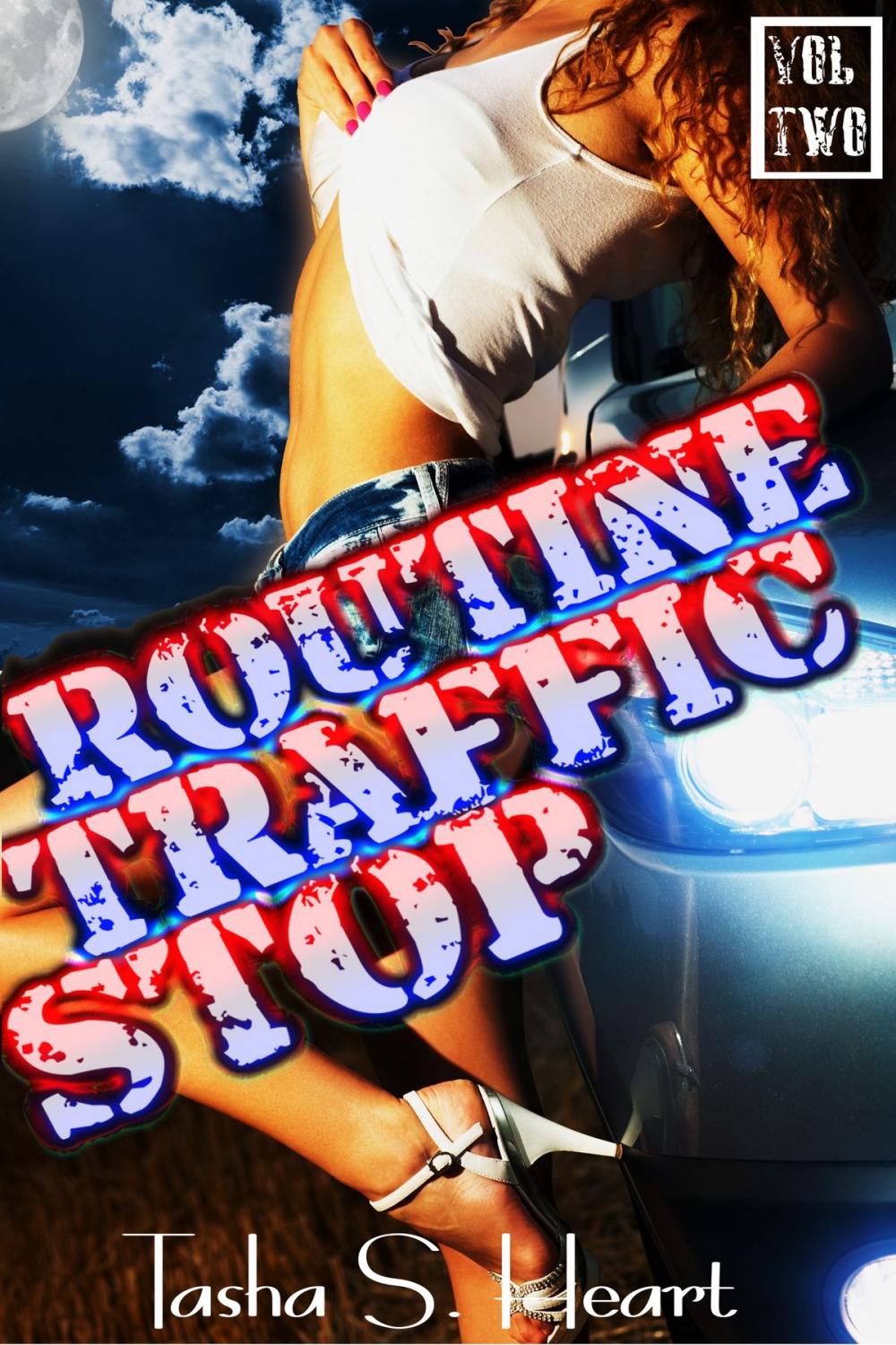 Big bigCover of Routine Traffic Stop Volume Two