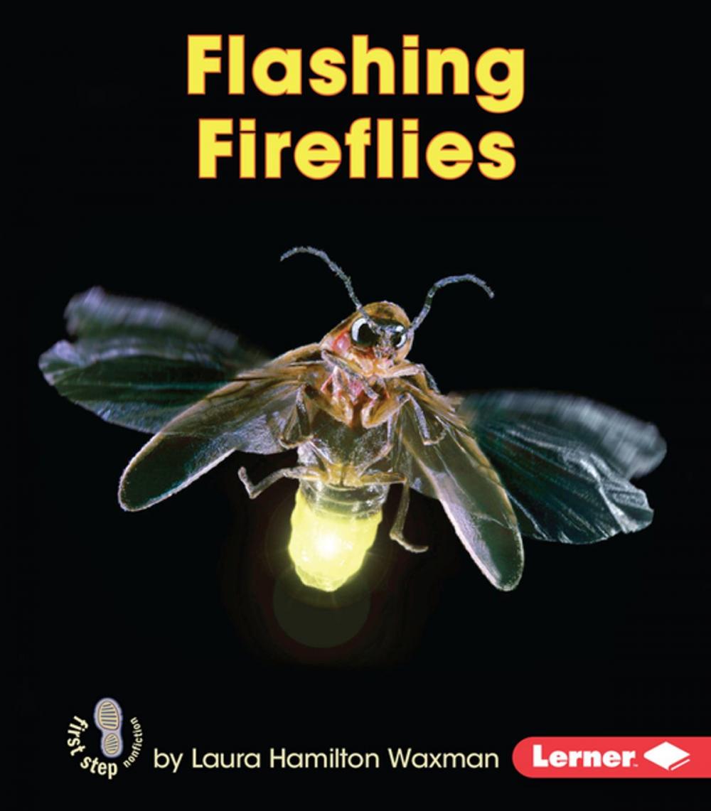 Big bigCover of Flashing Fireflies