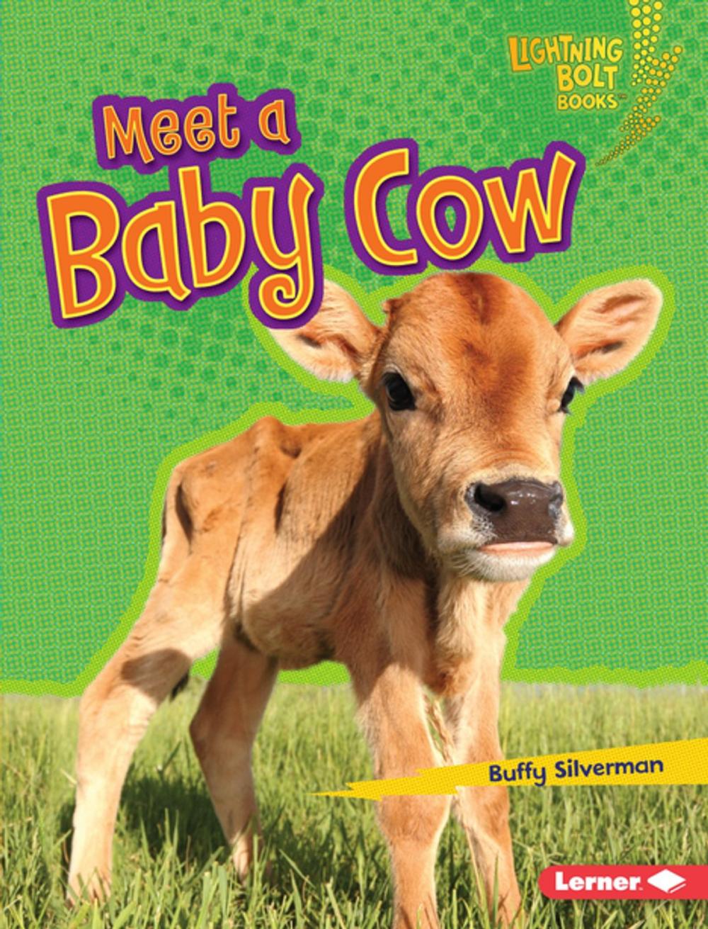 Big bigCover of Meet a Baby Cow