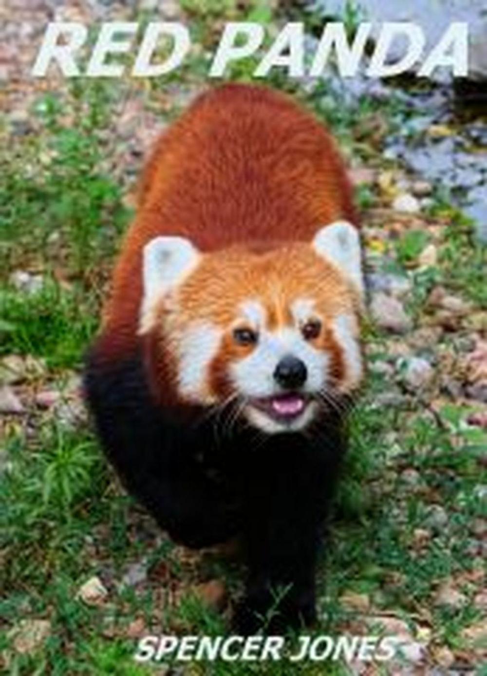 Big bigCover of Red Panda