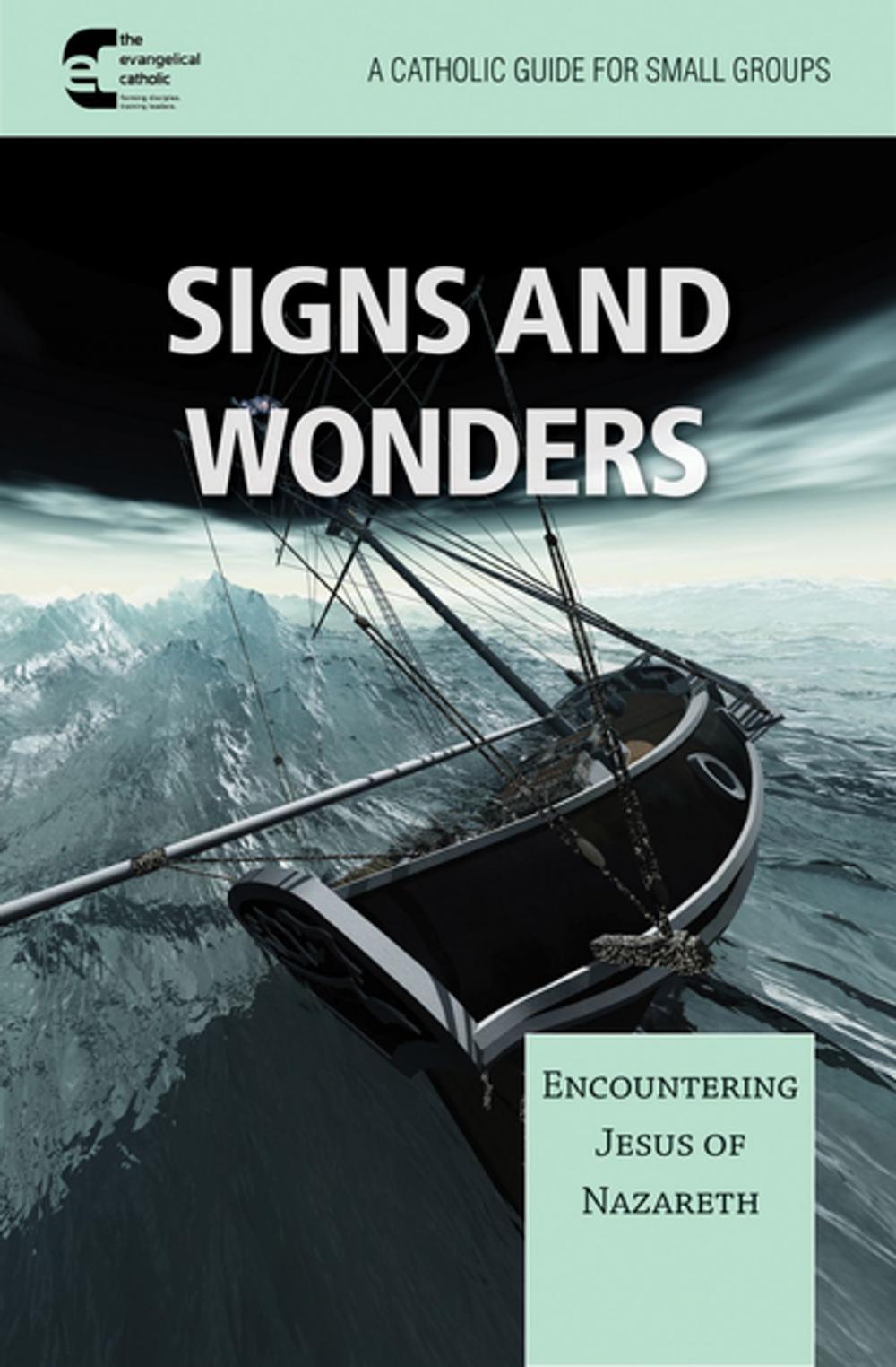 Big bigCover of Signs and Wonders