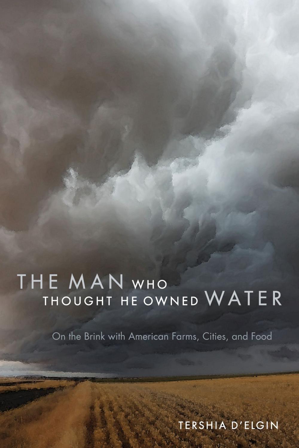 Big bigCover of The Man Who Thought He Owned Water