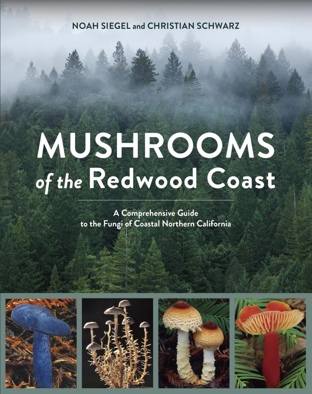 Big bigCover of Mushrooms of the Redwood Coast