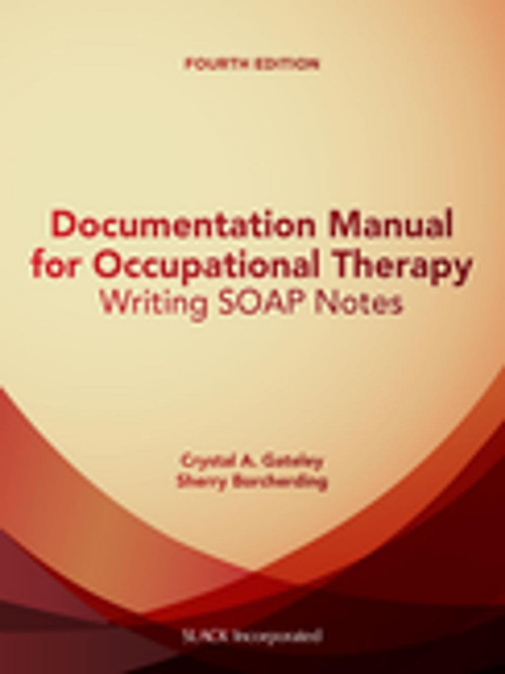 Big bigCover of Documentation Manual for Occupational Therapy