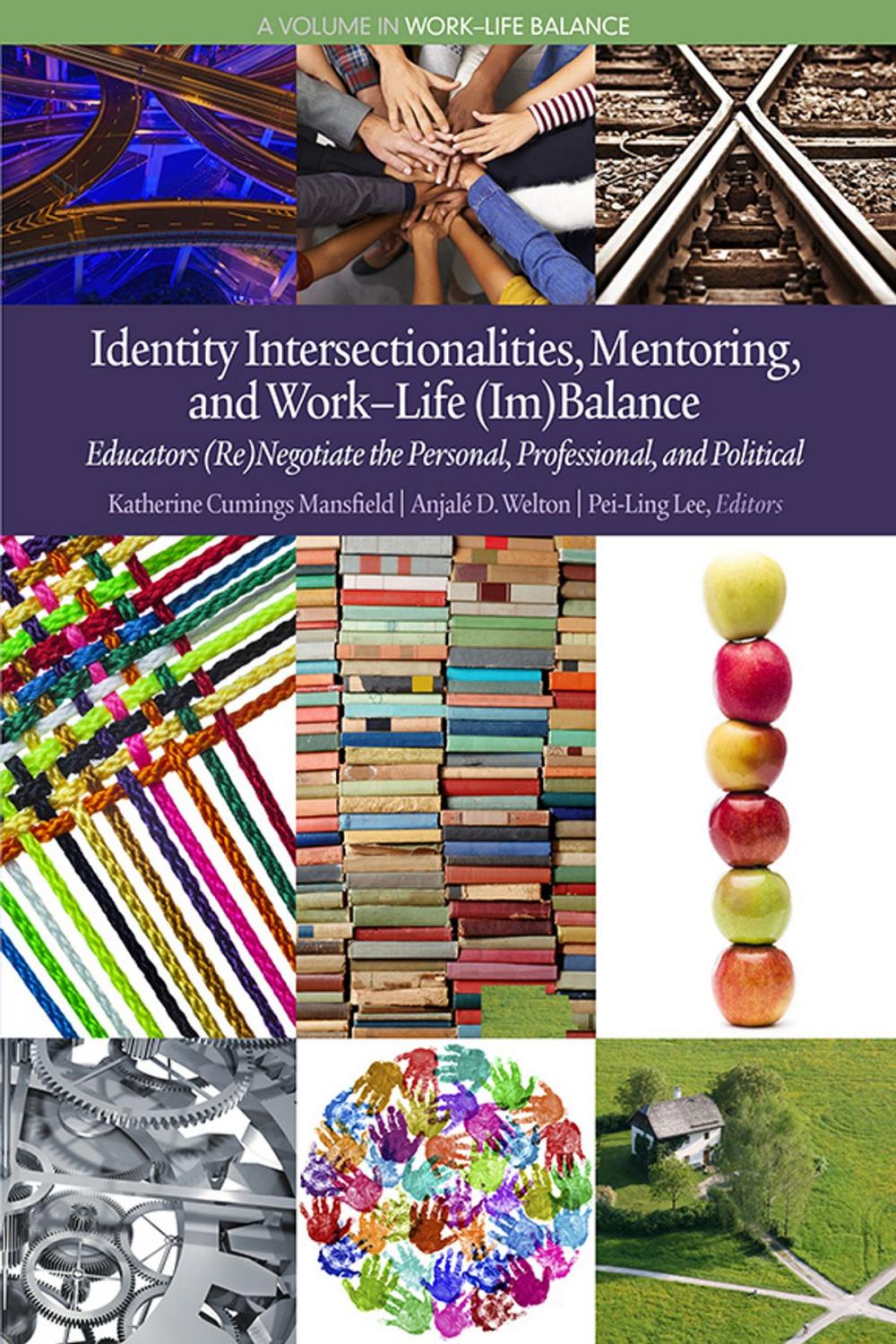Big bigCover of Identity Intersectionalities, Mentoring, and WorkLife (Im)Balance