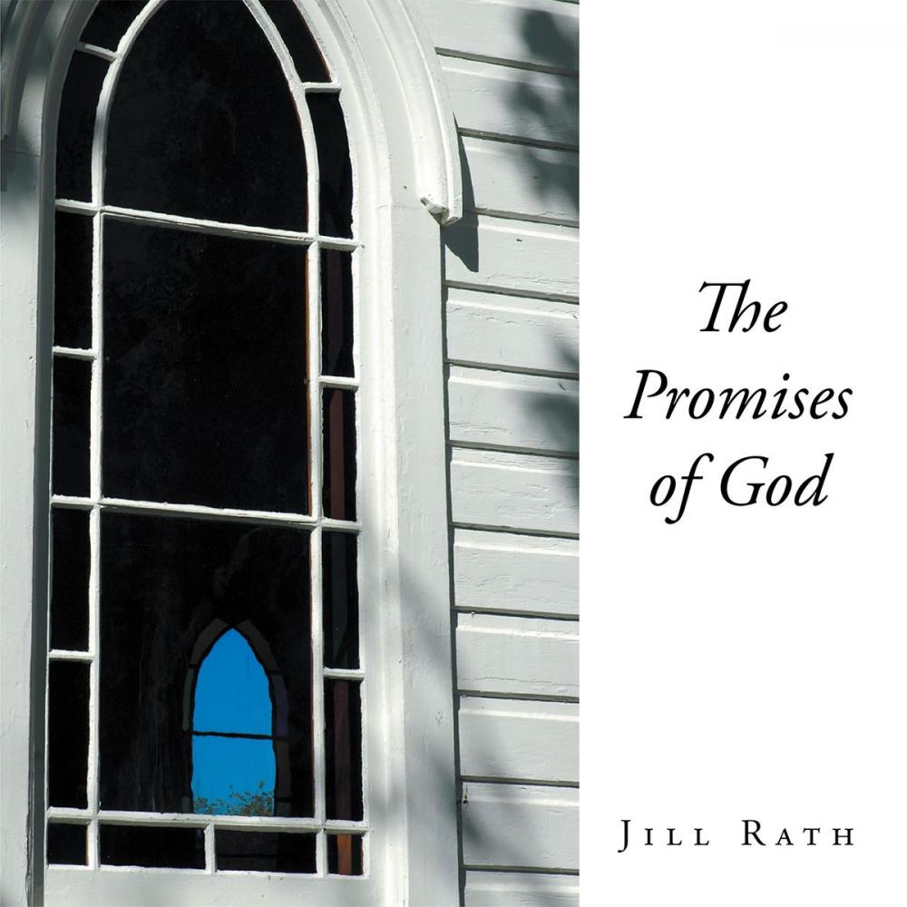 Big bigCover of The Promises of God