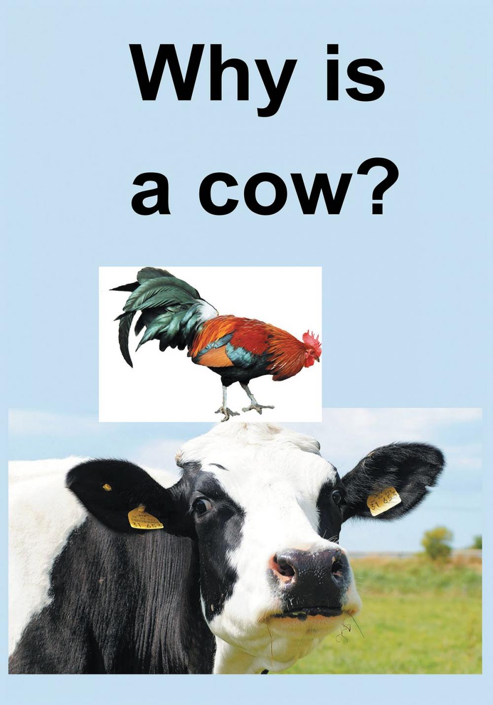 Big bigCover of Why Is a Cow?
