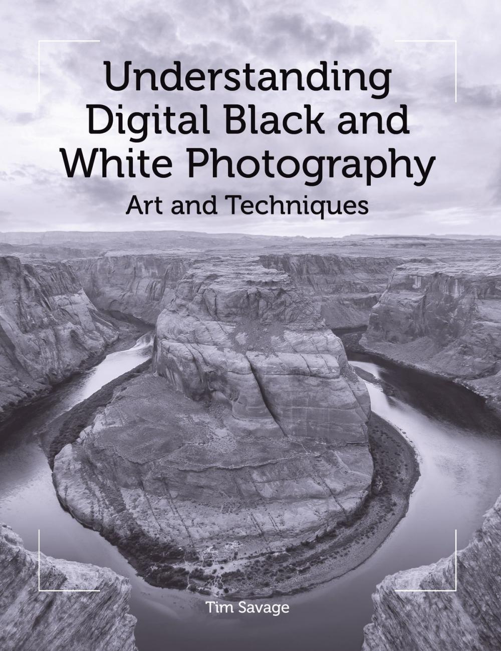 Big bigCover of Understanding Digital Black and White Photography
