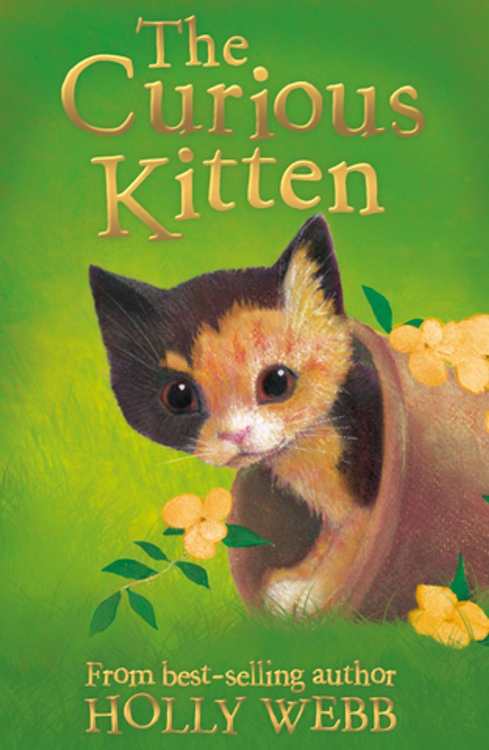 Big bigCover of The Curious Kitten