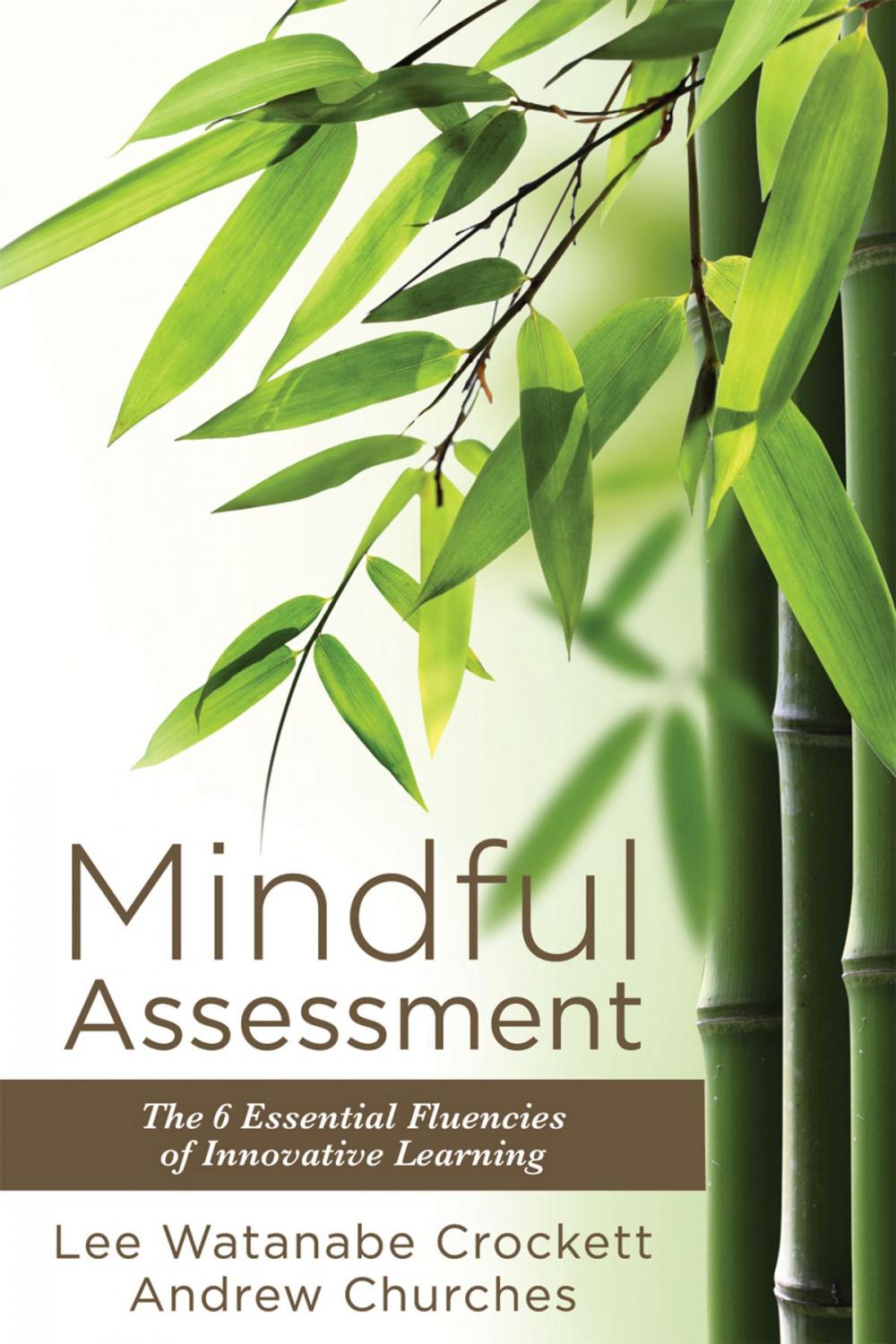 Big bigCover of Mindful Assessment