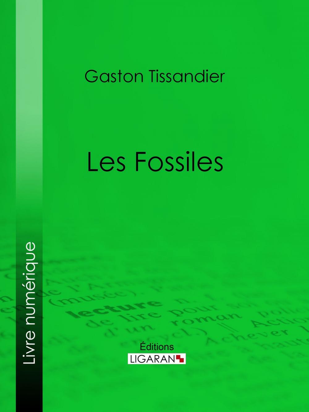 Big bigCover of Les Fossiles