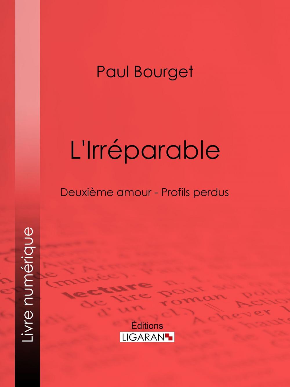 Big bigCover of L'Irréparable