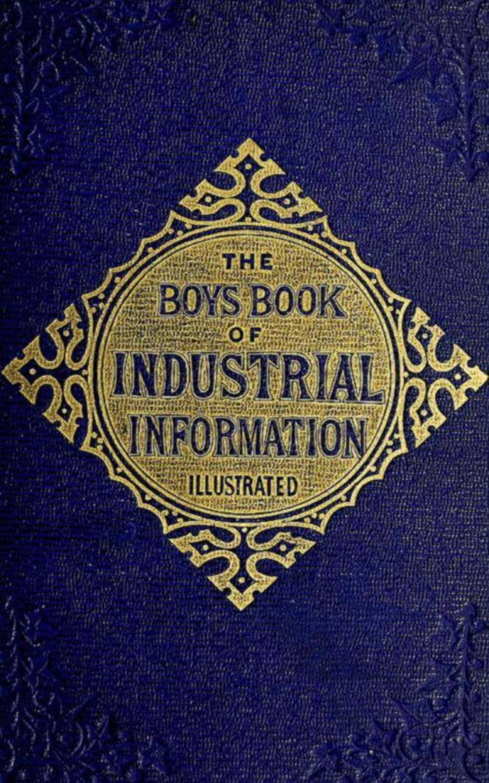 Big bigCover of The Boy's Book of Industrial Information