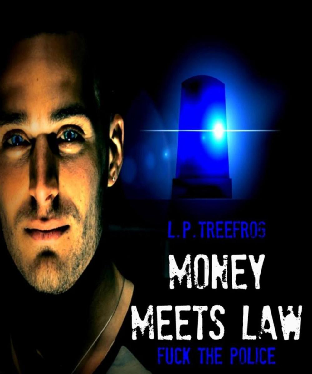 Big bigCover of Money meets Law