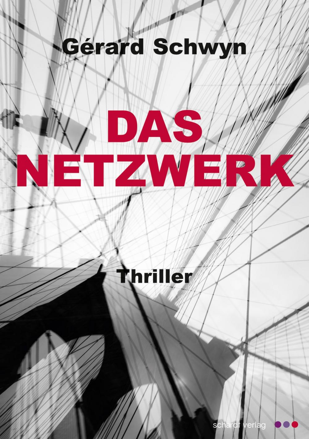 Big bigCover of Das Netzwerk: Schweizer Thriller