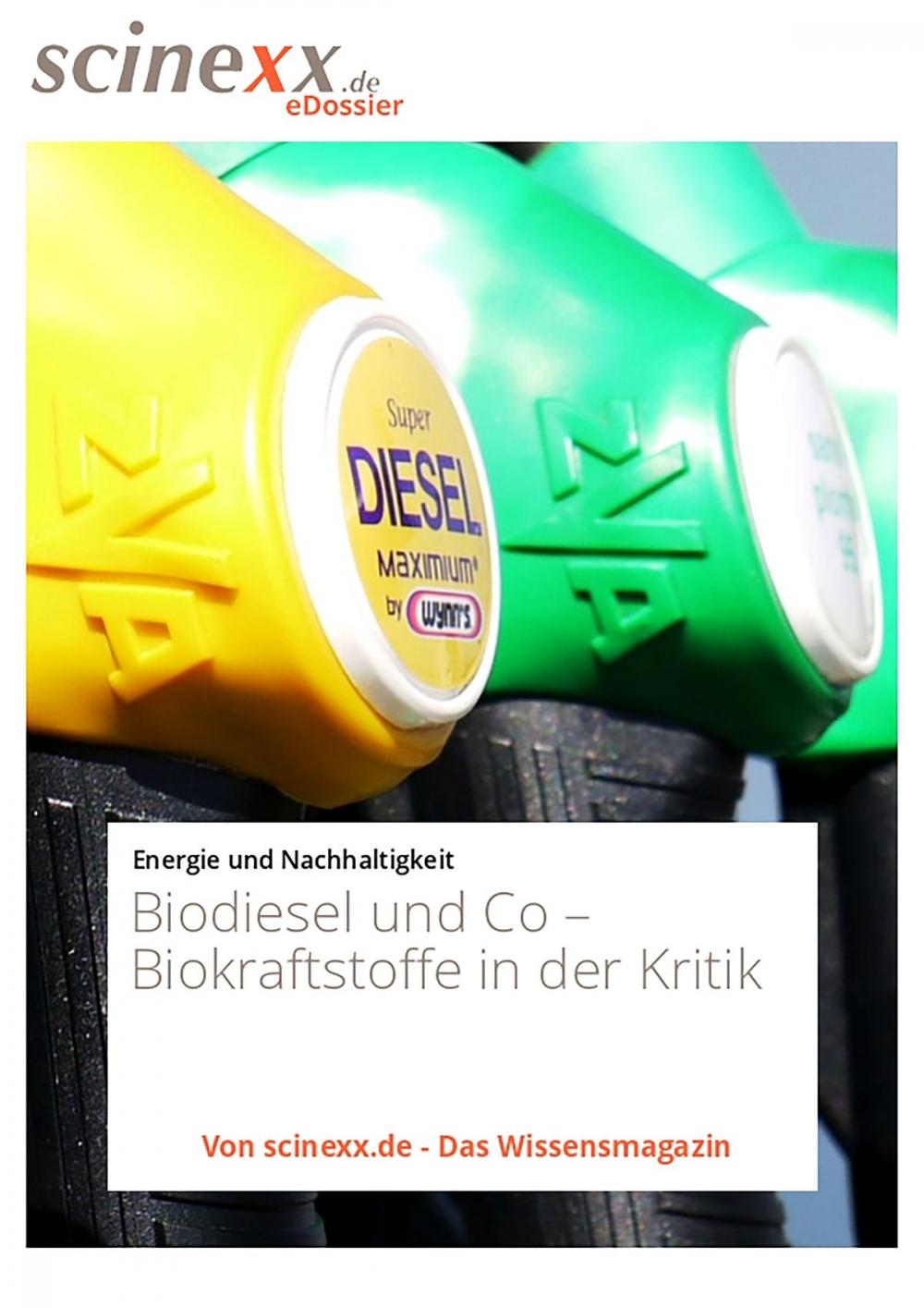 Big bigCover of Biodiesel und Co