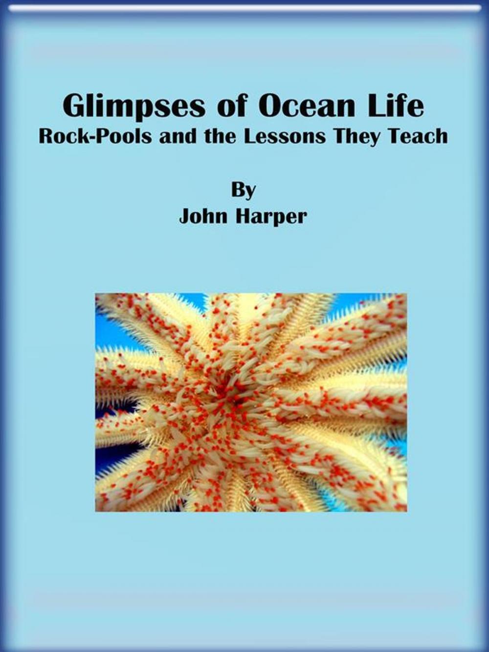 Big bigCover of Glimpses of Ocean Life: Rock-Pools and the Lessons They Teach