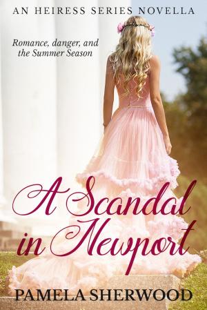 Book cover of A Scandal in Newport