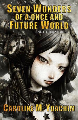 Cover of the book Seven Wonders of a Once and Future World and Other Stories by Stacy Bardsley