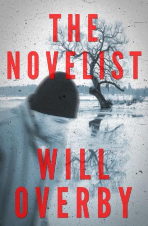 Cover of the book The Novelist by Lauren Milner-Howells