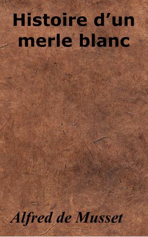 Cover of the book Histoire d’un merle blanc by Jean-Jacques Ampère