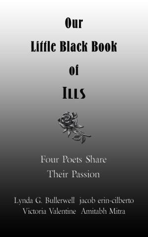 Book cover of Our Little Black Book of Ills
