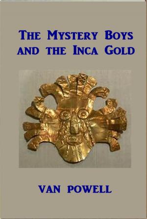 bigCover of the book The Mystery Boys and The Inca Gold by 