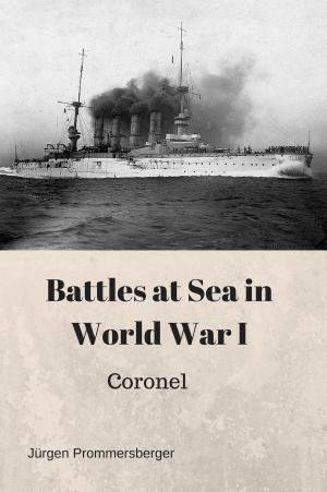 Cover of the book Battles at Sea in World War I by Cyrus J. Zachary