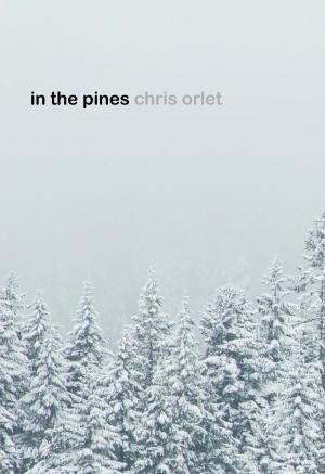 Book cover of in the pines